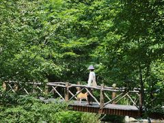 -本溪老边沟风景区