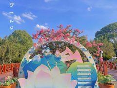 -荷塘月色湿地公园·向阳花洲
