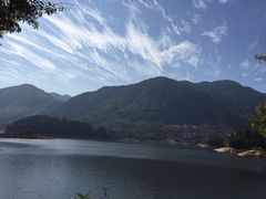 -广州市流溪河国家森林公园