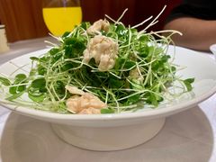 桃仁香椿苗-潇湘码头·鲜湘菜(清河店)