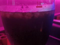 -Ton Ton吨吨小酒馆Live(观前街店)