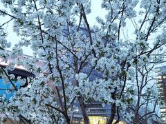 -世纪联华超市(浦电路店)