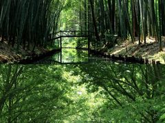 -同里国家湿地公园