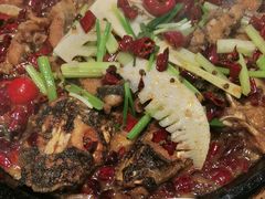 -老板恋上鱼(恒隆广场店)