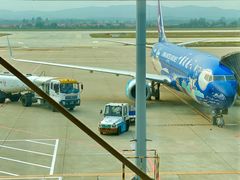 -威海大水泊国际机场