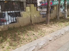 -五月古筝钢琴私塾