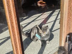 -fishtank鱼缸咖啡(三山街店)