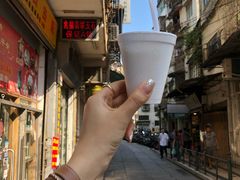 -洪馨椰子