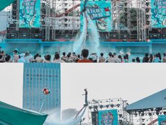 -巨鹏飞梦幻海岸