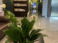 -水墨澜渟足道·SPA·传统(四望亭东关街店)