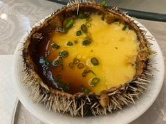 -南燕湾渔家码头