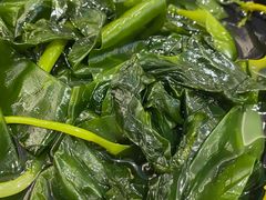 海带苗-呷哺呷哺 黄金牧场 (新辰里学清路店)