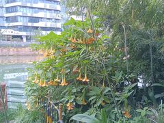 -成都市活水公园