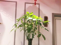 -席仁堂推拿按摩脊柱调理(世纪科贸大厦店)