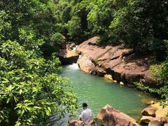 -广州白江湖森林公园