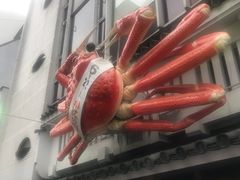 -蟹道乐(道顿堀本店)