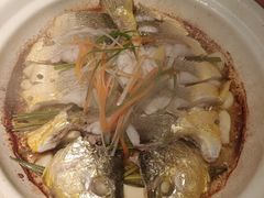 -卯时·龙光雅宴·精致锡帮菜(惠山古镇店)