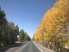 -扁都口生态休闲旅游区