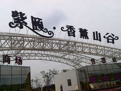 -紫颐香薰山谷景区