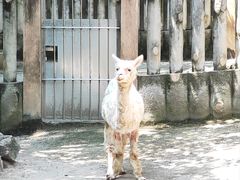 -成都动物园
