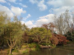 -上海滨江森林公园