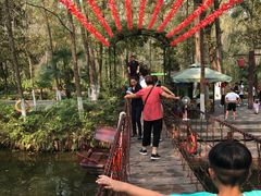 -合肥滨湖国家森林公园