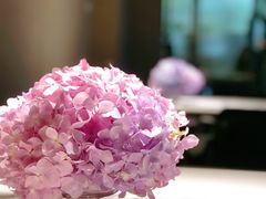 -发现花馆西餐厅FA Restaurant