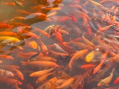 -楠溪江风景名胜区