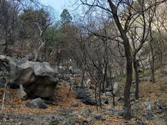 -北京鹫峰国家森林公园