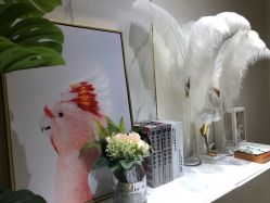 -INNEREAL英妮芮医疗美容