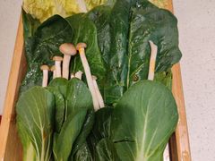 -川椒媚双椒烤鱼(鑫江东方城购物中心店)