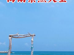 -亚龙湾热带天堂森林公园