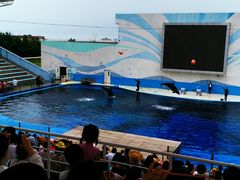 -北戴河圣蓝海洋公园