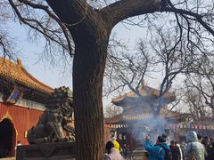 -姚记炒肝店(鼓楼店)