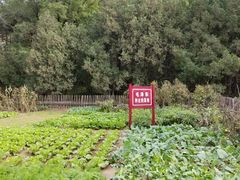 -延安杨家岭革命旧址