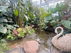 -沈阳植物园