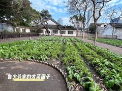-绍兴古城