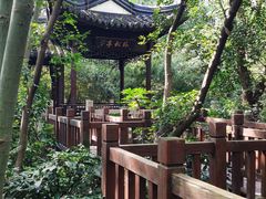 -上海佘山国家森林公园天马山园