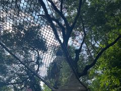 -芦仙山景区-飞越丛林探险乐园