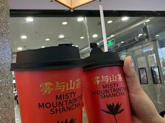 -雾与山茶(大禹城店)