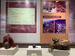 -迪庆藏族自治州博物馆