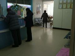 -北京观赏动物医院·24小时大型综合·猫专科·异宠专科