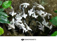 -南昌海洋公园