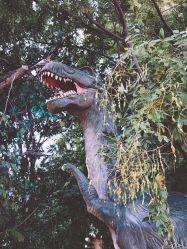 -大望京儿童游乐场