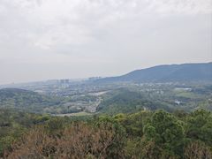 -旺山景区