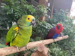 -南宫五洲植物乐园