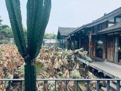 -莫催咖啡