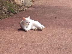 -敬亭山风景名胜区