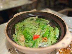 啫啫生菜煲-陶陶居酒家(SM二期购物广场店)