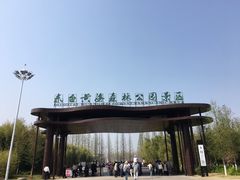 -黄海国家森林公园